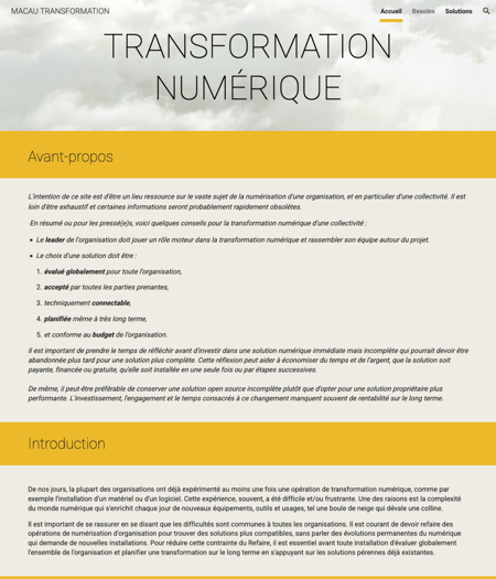 Study Digital Transformation of Local Authorities